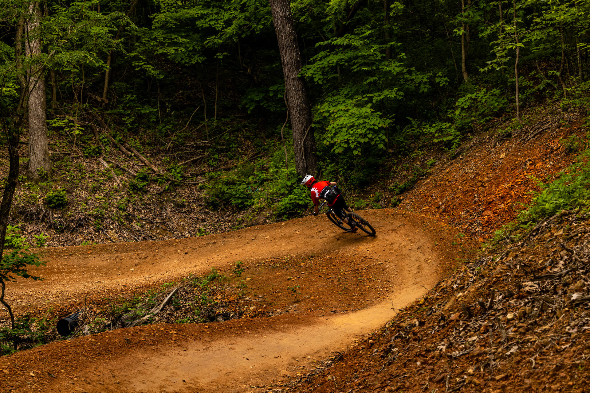 Bike trails in Bella Vista Biking the trails